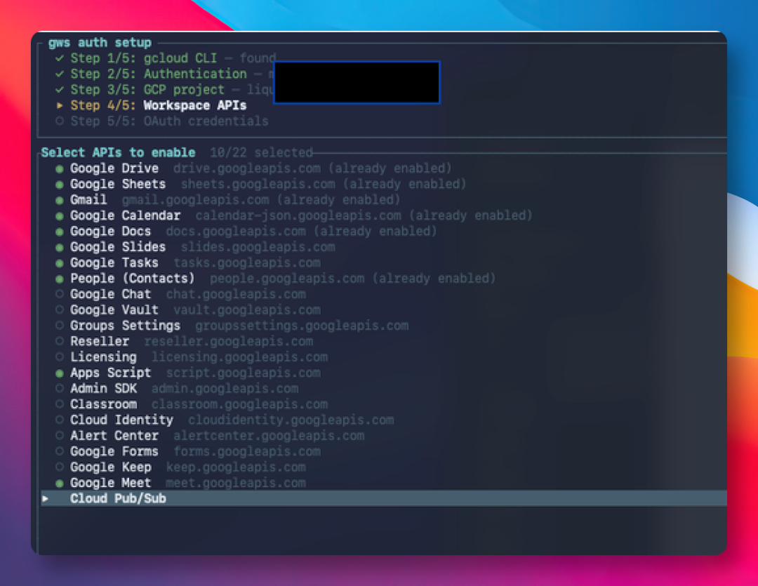 gws auth setup 认证过程截图