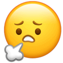 表情符号：悲伤的脸，旁边有手指指向它