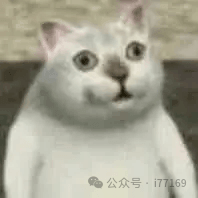 AI代码审计存在幻觉风险需实际验证的惊讶猫表情包