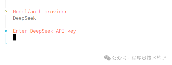 输入DeepSeek API密钥