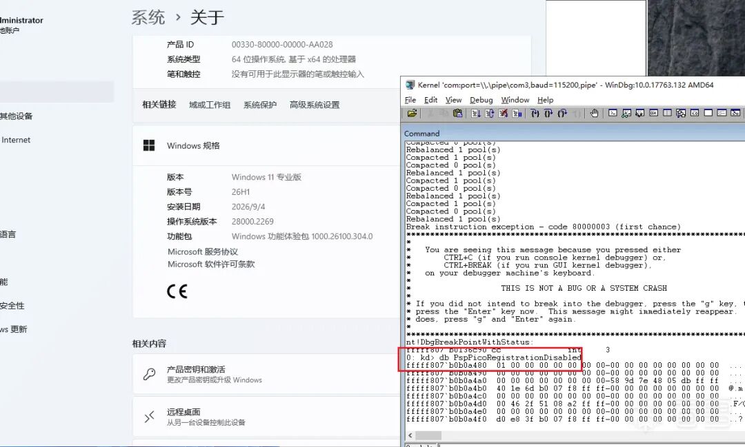 Windbg 查看 PspPicoRegistrationDisabled 值为 1