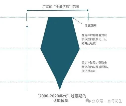“2000-2020年代”过渡期的认知模型示意图