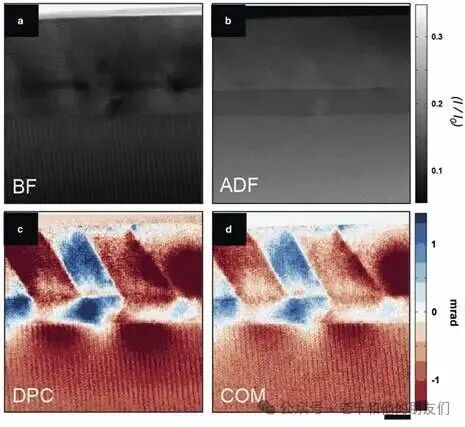 从EMPAD成像数据集中提取的多种成像模式图