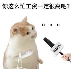 猫咪表情包：你这么忙工资一定很高吧？