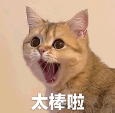 一只表情夸张、张嘴瞪眼的金黄色短毛猫，配文‘太棒啦’