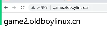 浏览器IP访问测试图
