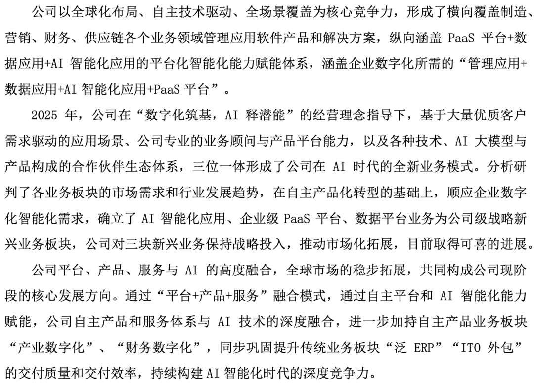 汉得信息公司战略与业务体系说明