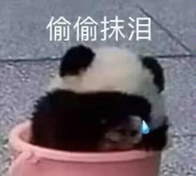 “偷偷抹泪”小熊猫表情包