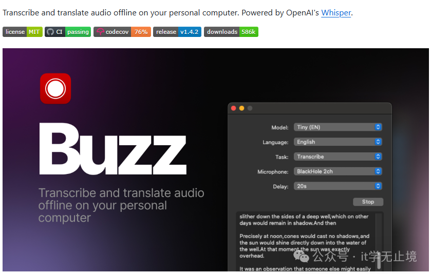 Buzz音频转录软件界面截图