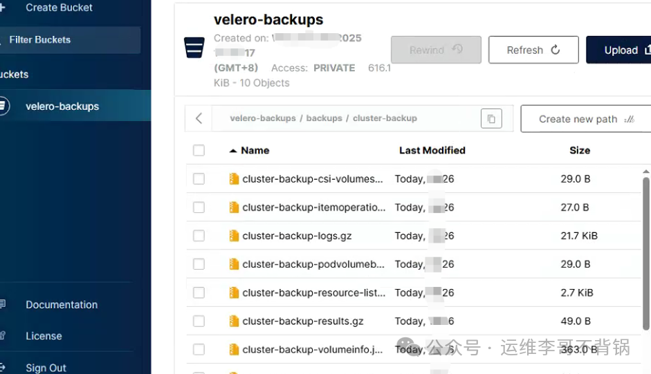 MinIO中的备份文件