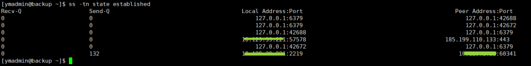 查看已建立TCP连接的ss命令输出截图