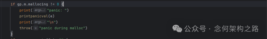 内存分配期间panic检查代码