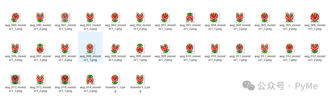 monster1文件夹数据增强结果