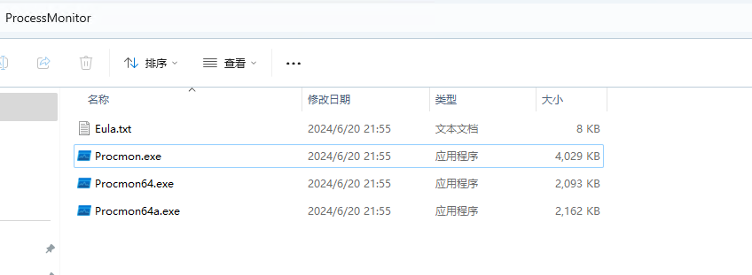 Process Monitor工具文件列表