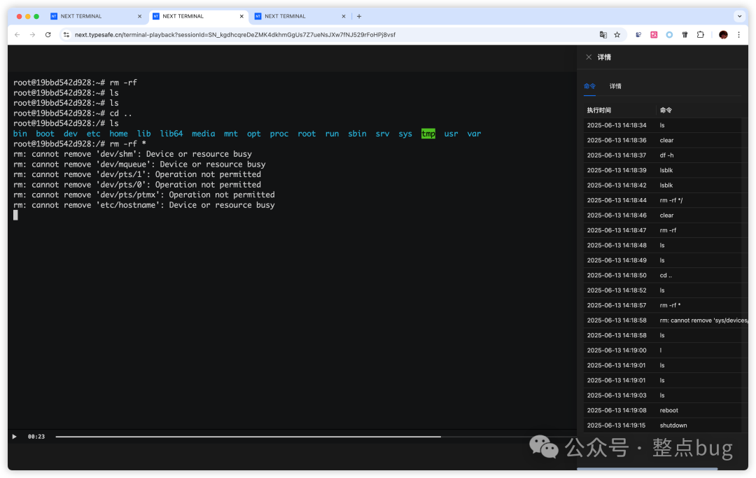Next Terminal会话审计界面显示的命令执行记录