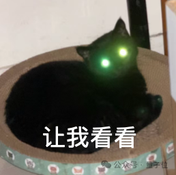 一只黑猫在猫窝里探头的表情包,配文“让我看看”