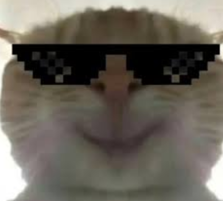 戴像素墨镜的猫咪表情包