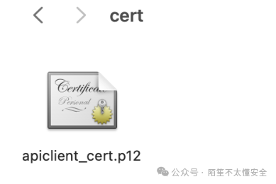 文件图标截图,展示了 apiclient_cert.p12 证书文件