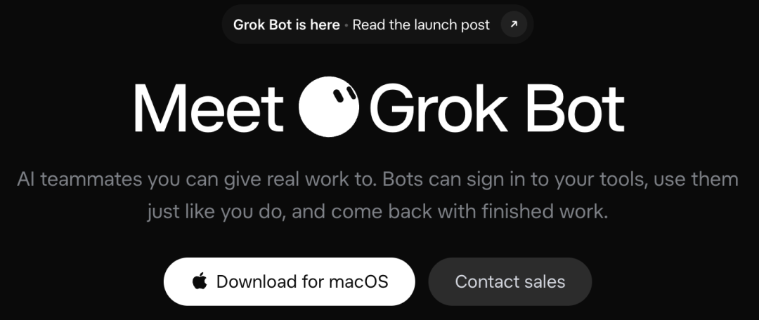 Grok Bot 官网宣传图：AI 队友可登录工具并完成工作