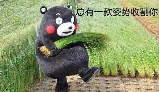 熊本熊拿着植物,配文“总有一款姿势收割你”