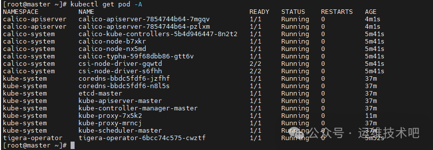Calico及系统Pod状态列表