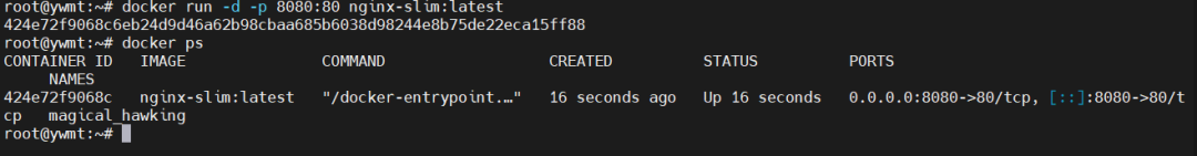 运行优化后的Nginx镜像