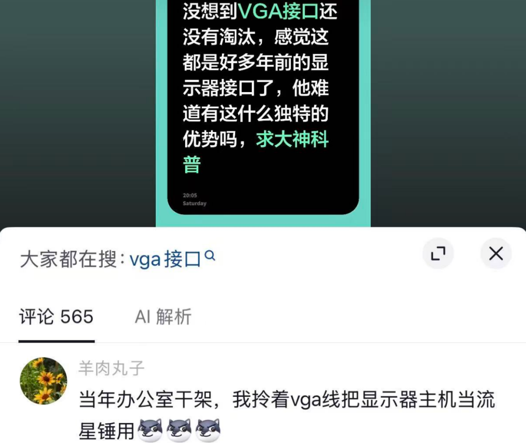 网友调侃VGA接口生命力的评论截图