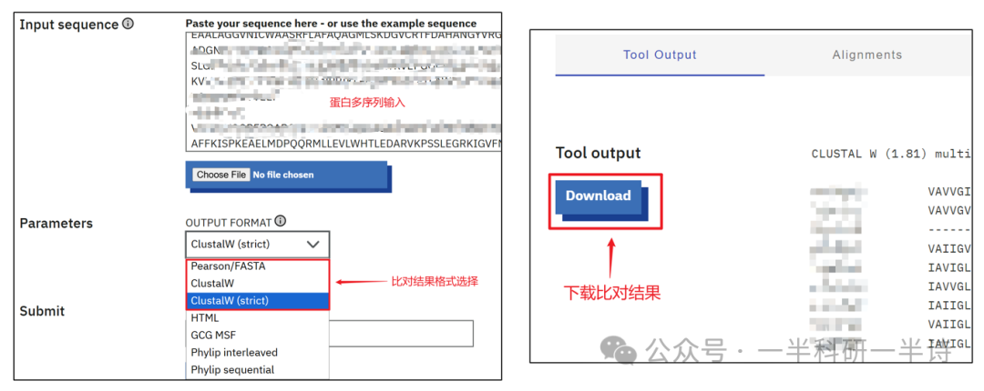 MUSCLE在线工具序列比对界面