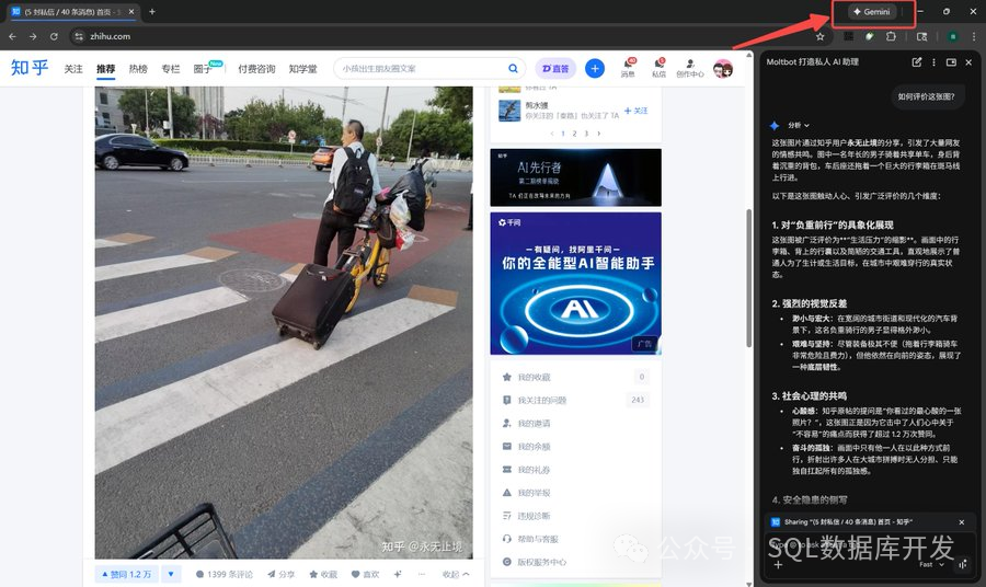 Gemini在知乎网页侧边栏分析内容示例
