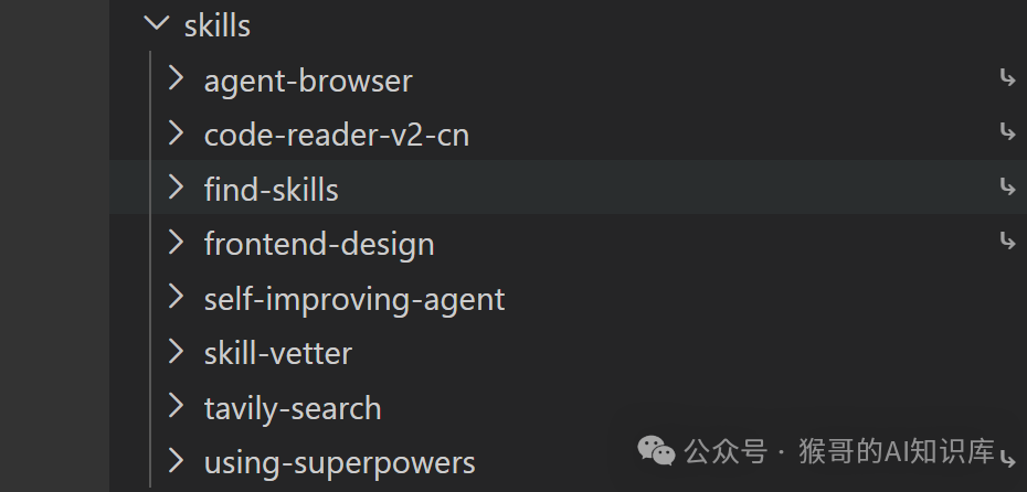 终端中列出的已安装skills列表