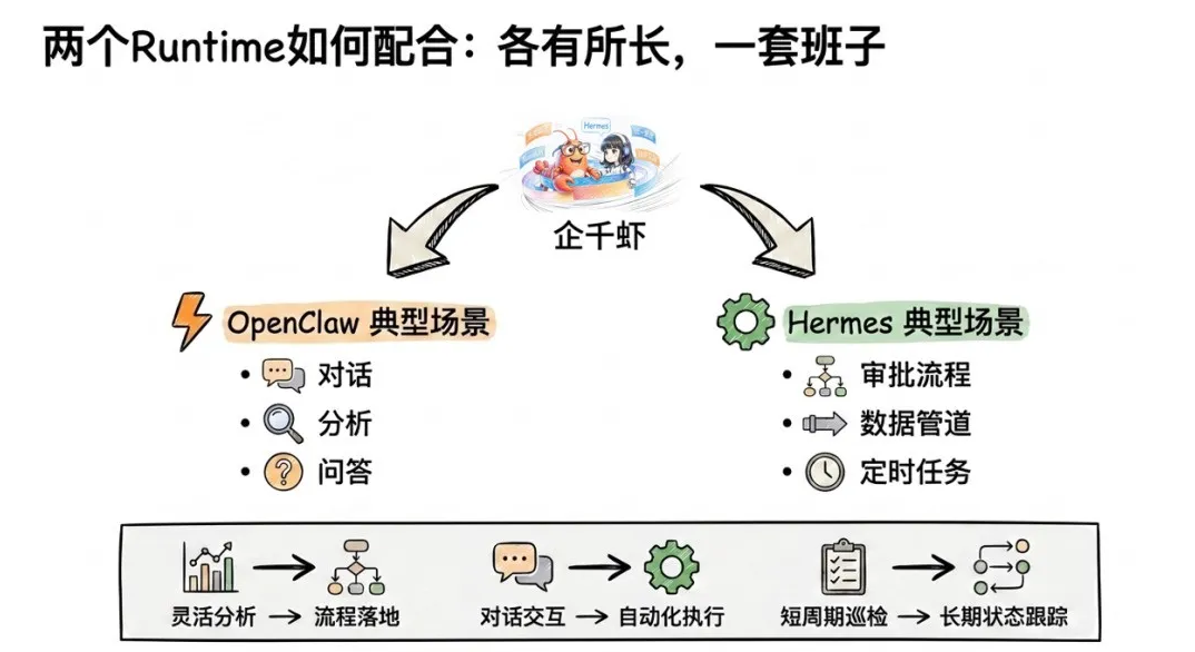 OpenClaw与Hermes双Runtime各有所长对比图