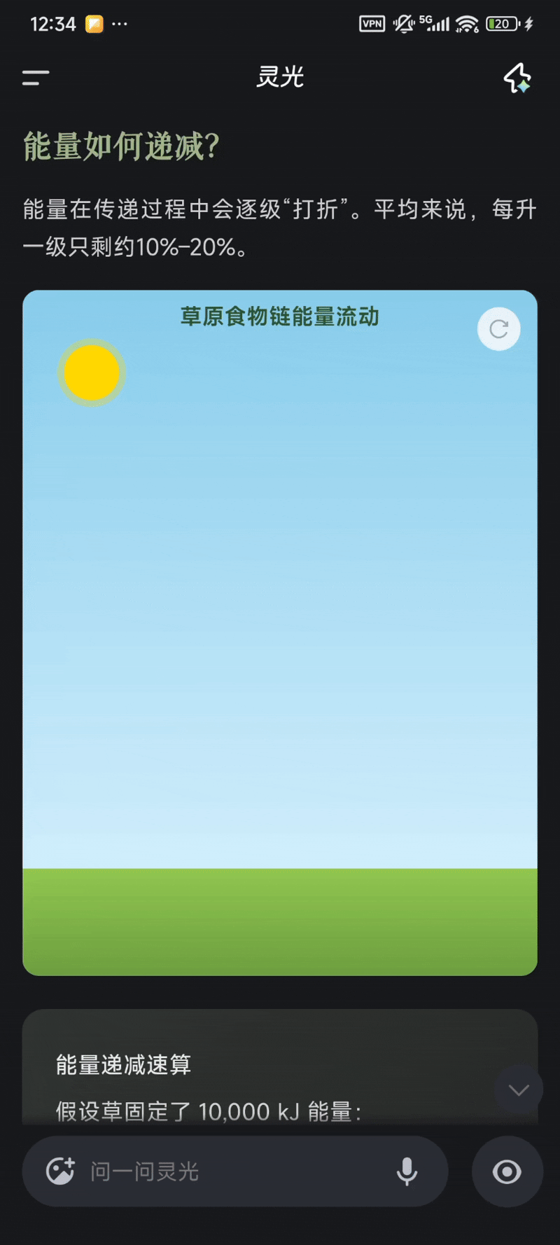 讲解食物链的关系