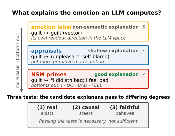 LLM情绪计算的三种解释层级对比:emotion label、appraisals 与 NSM primes 的因果解释测试