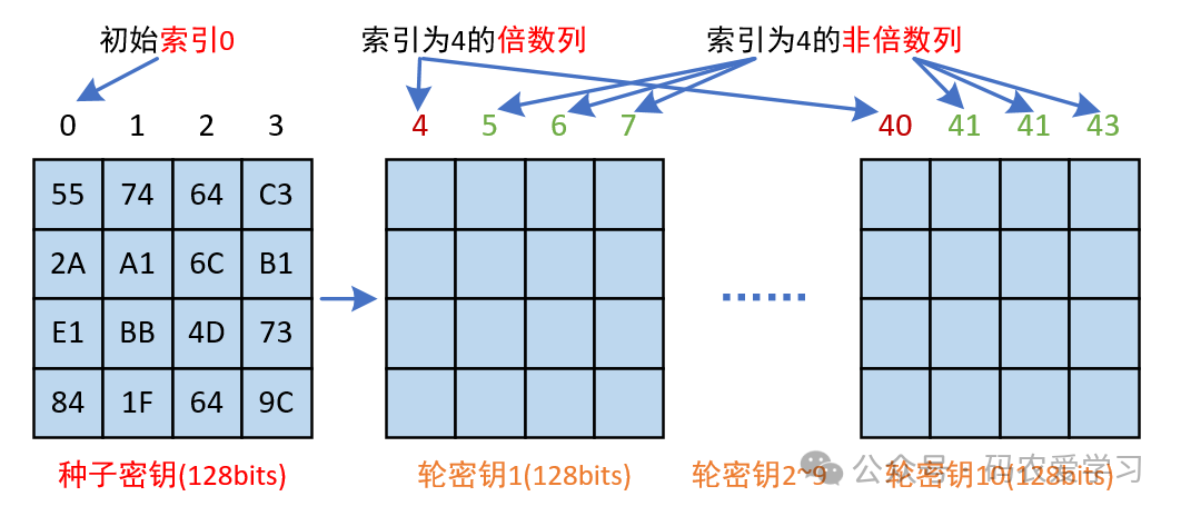 AES密钥扩展过程示意图