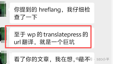 关于hreflang与TranslatePress插件问题的聊天讨论截图