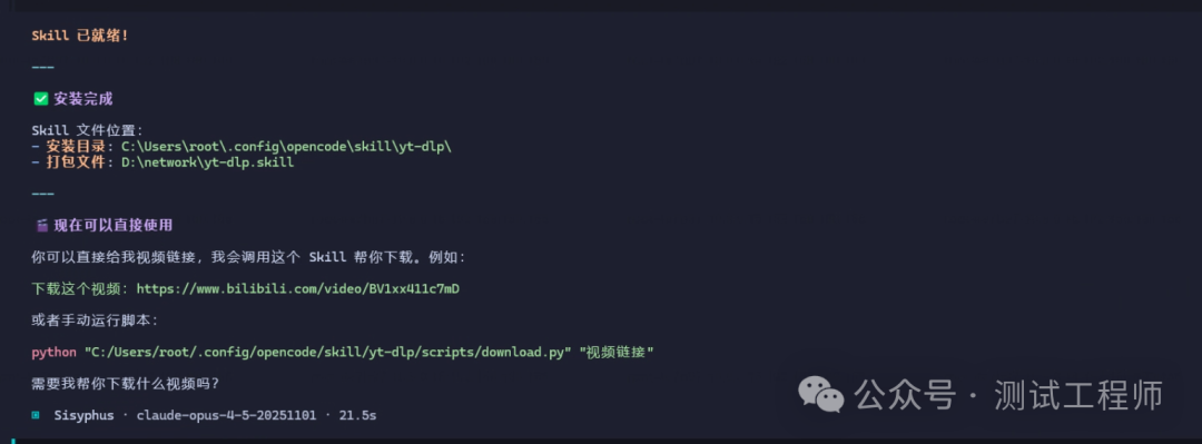 Skill安装完成并显示使用说明的终端截图