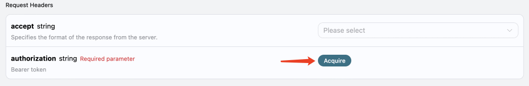 API密钥申请界面，显示Authorization头配置