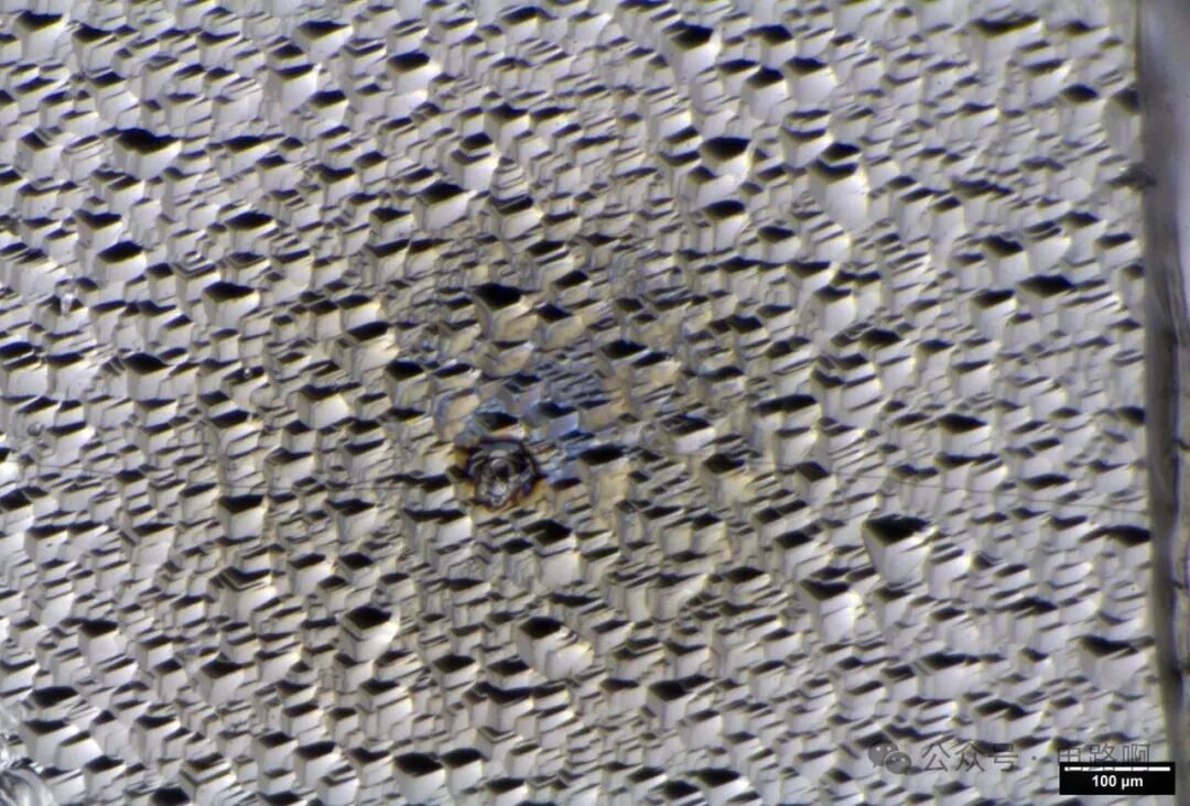 经电形成处理后的接触点微观结构