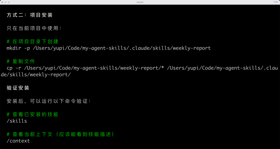 项目级技能安装命令