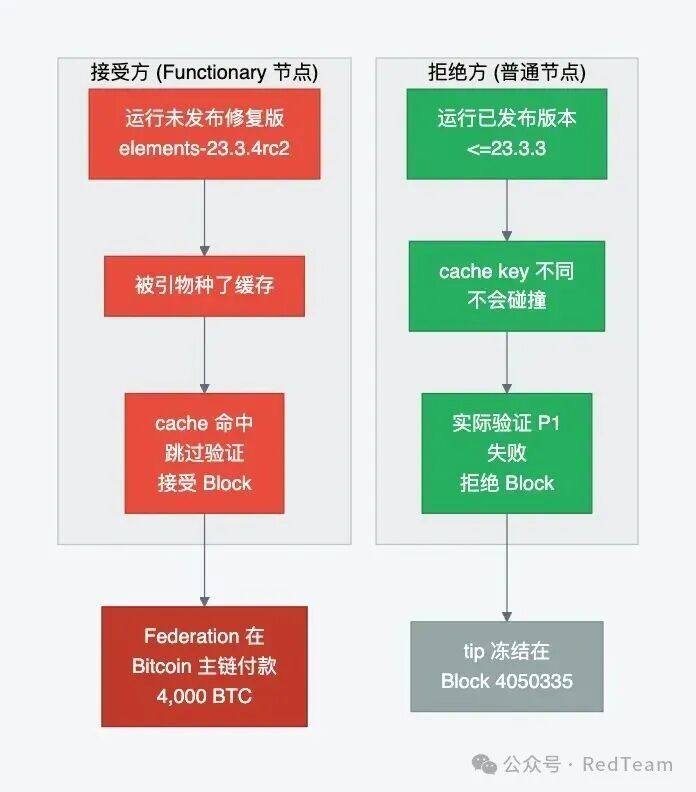 Liquid 共识分裂：functionary 接受方与普通节点拒绝方的流程对比
