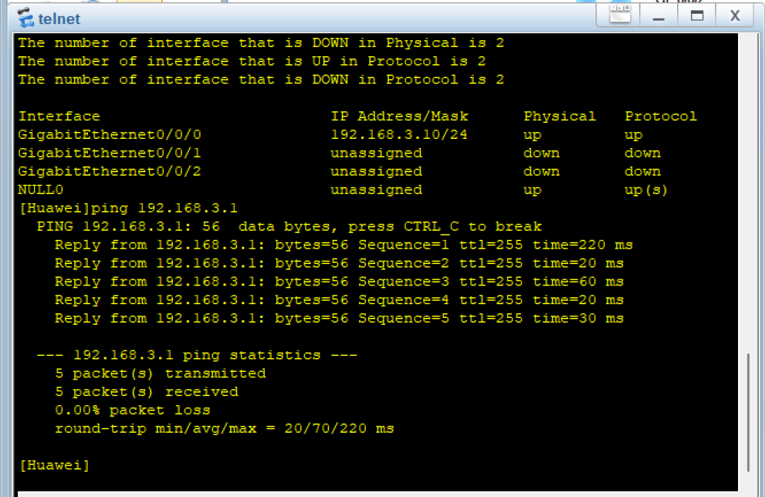 R1 Ping Telnet服务器