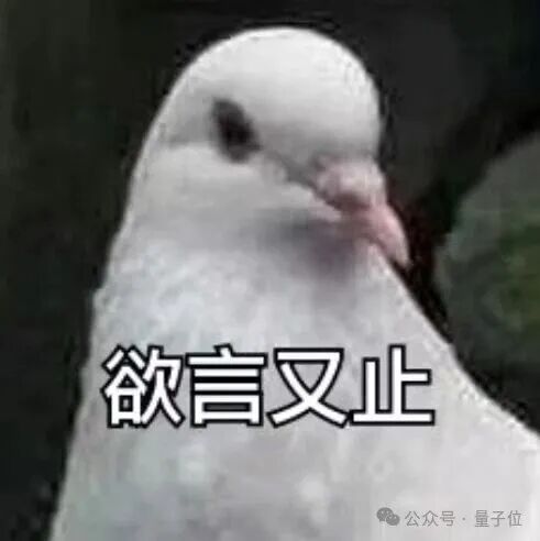 一只表情略显犹豫的白色鸽子