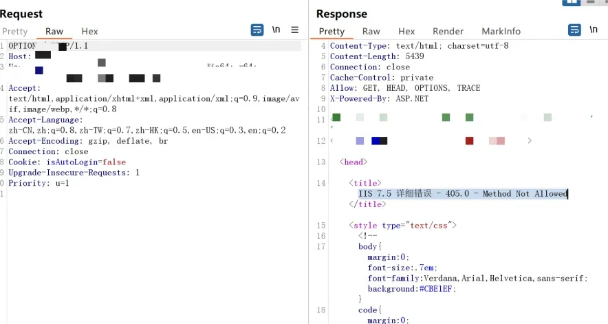 IIS错误页面截图