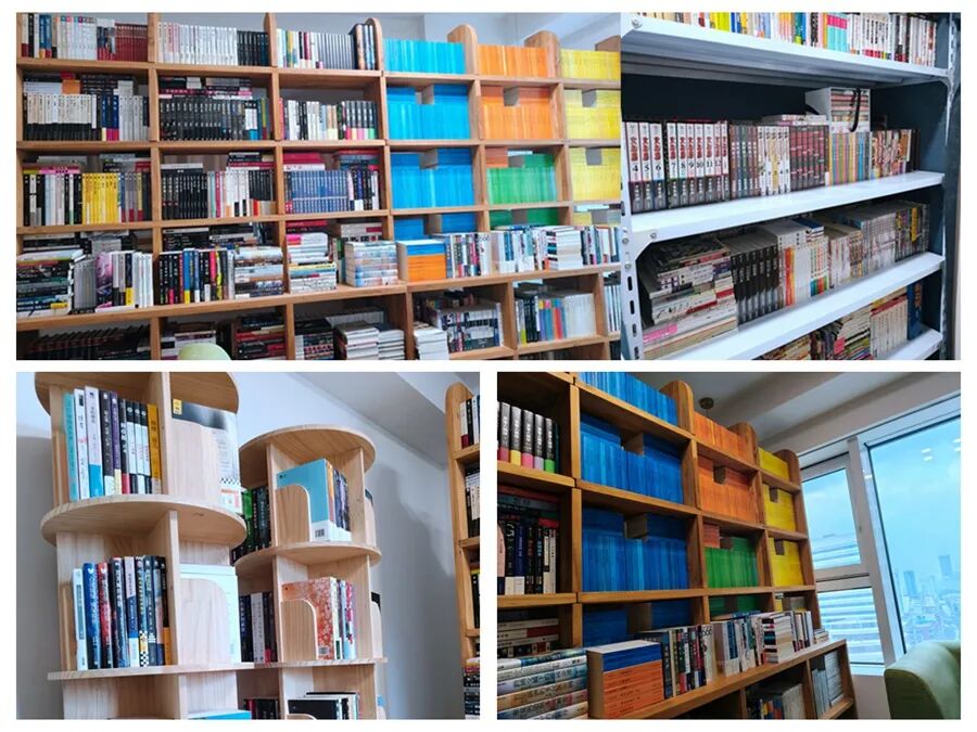 猫之日办公室内的个人图书馆一角