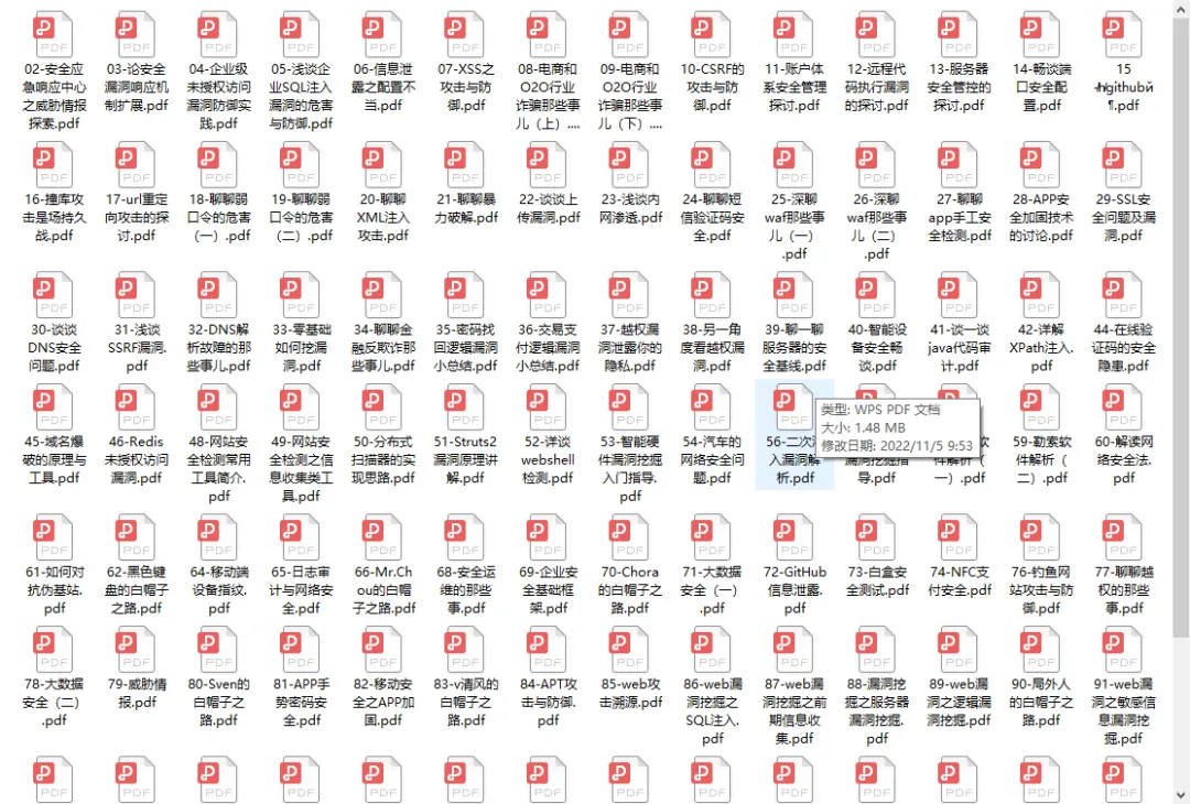 网络安全与漏洞分析PDF文档列表