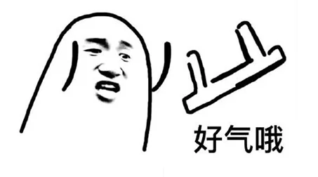 好气哦表情包