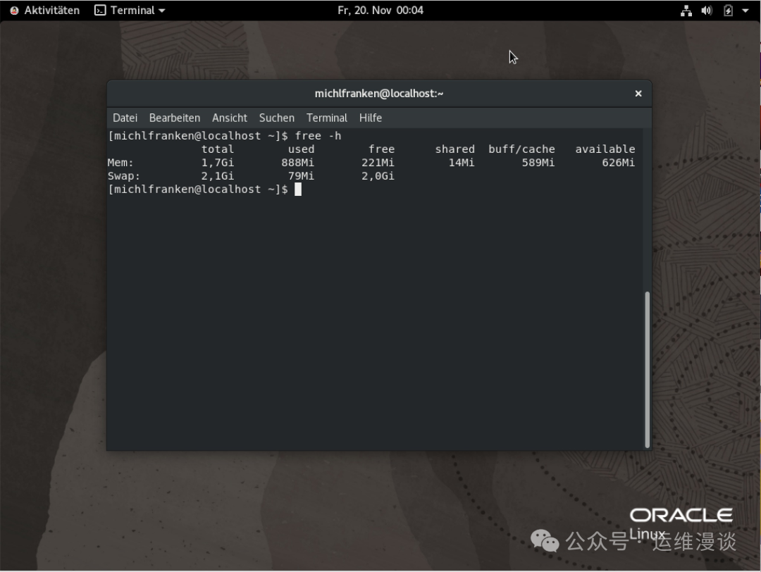Oracle Linux终端内存查看截图