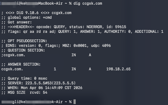Mac终端使用dig命令查询DNS记录的详细输出