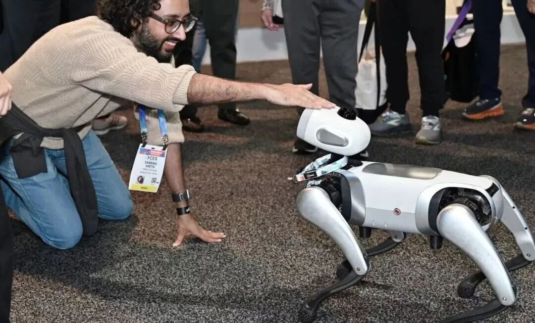 与四足机器人互动