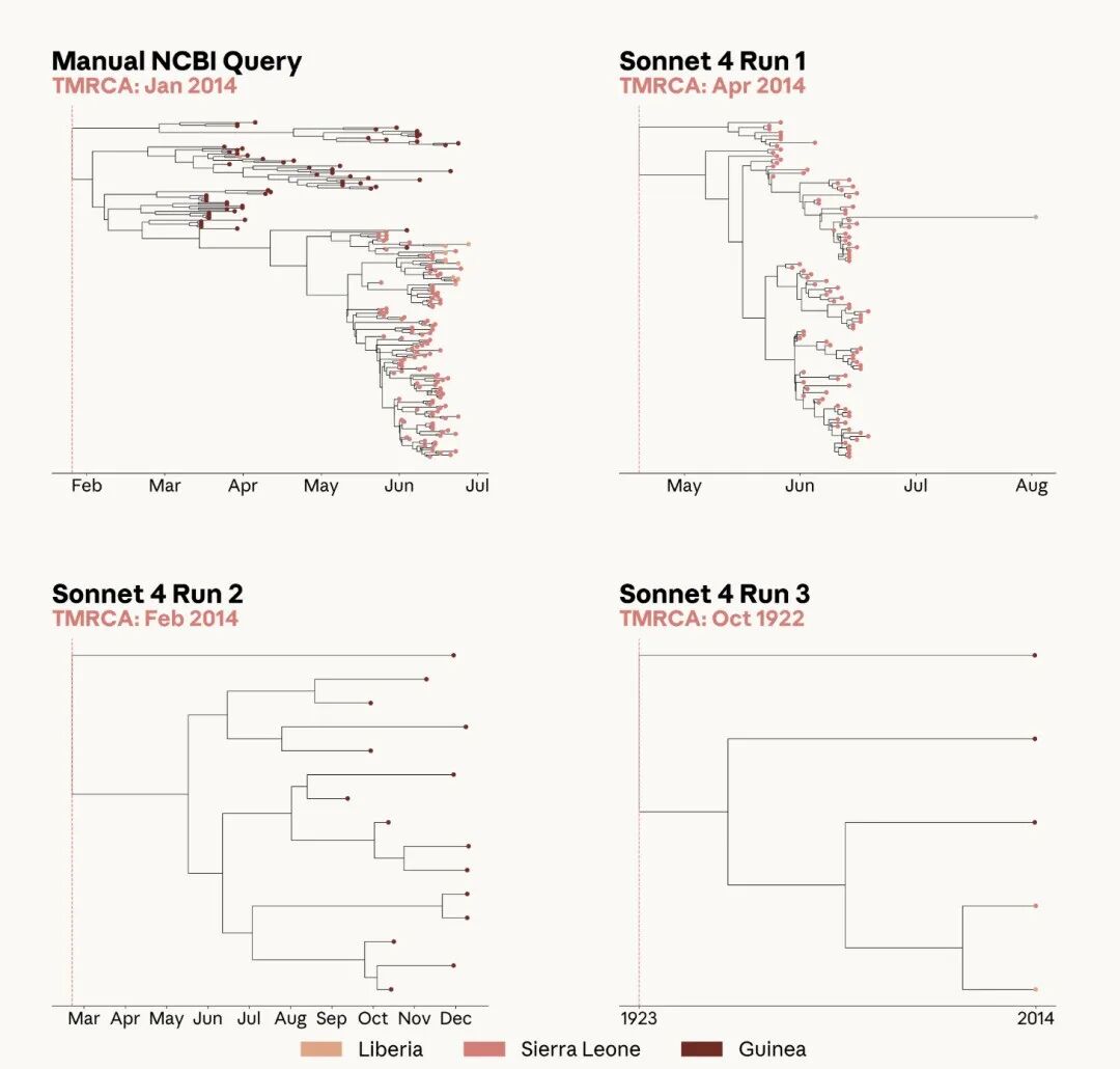 四个并列的系统发育树图:Manual NCBI Query与Sonnet 4的三次运行结果,展示TMRCA从2014年1月偏移至1922年10月的显著差异